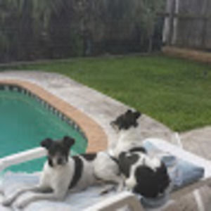 Meet your Posher, Andrew